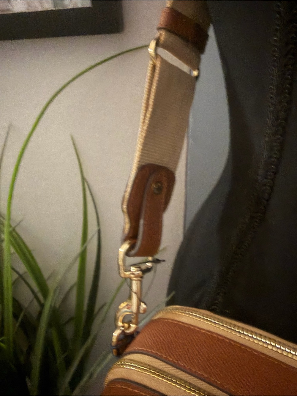 Dooney & Bourke Alpine Ambler 20 Crossbody Bag - Picture 9 of 12